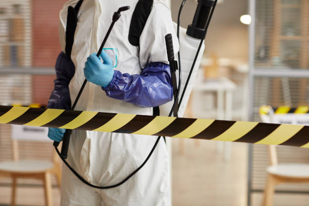 Professional Sewage Cleanup technician working in Lake Mary, FL